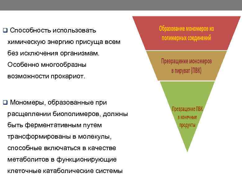 q Способность использовать химическую энергию присуща всем без исключения организмам. Особенно многообразны возможности прокариот.