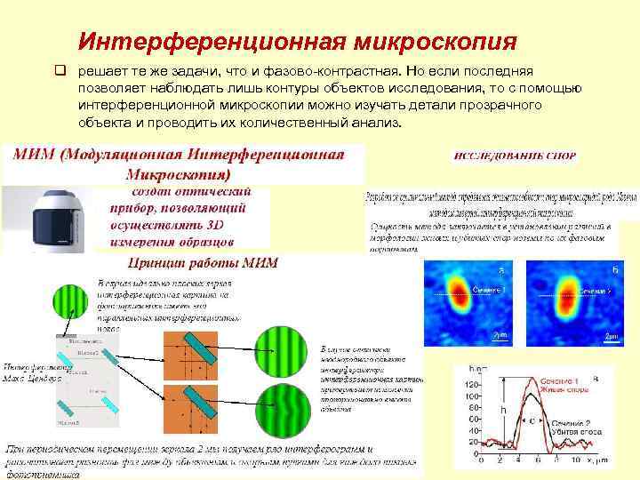  Интерференционная микроскопия q решает те же задачи, что и фазово-контрастная. Но если последняя