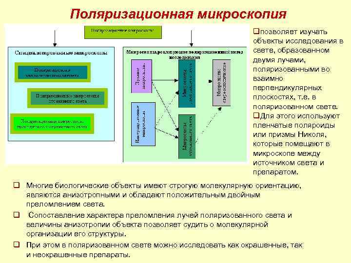  Поляризационная микроскопия qпозволяет изучать объекты исследования в свете, образованном двумя лучами, поляризованными во