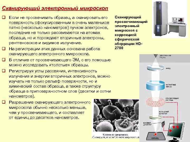 Сканирующий электронный микроскоп q Если не просвечивать образец, а сканировать его Сканирующий поверхность сфокусированным