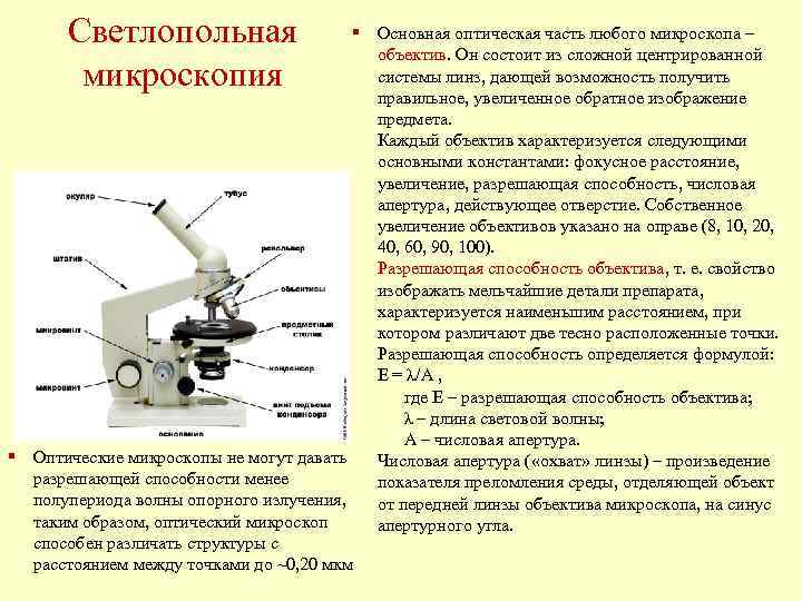  Светлопольная § Основная оптическая часть любого микроскопа – объектив. Он состоит из сложной