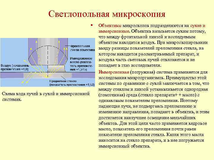  Светлопольная микроскопия § Объективы микроскопов подразделяются на сухие и иммерсионные. Объектив называется сухим