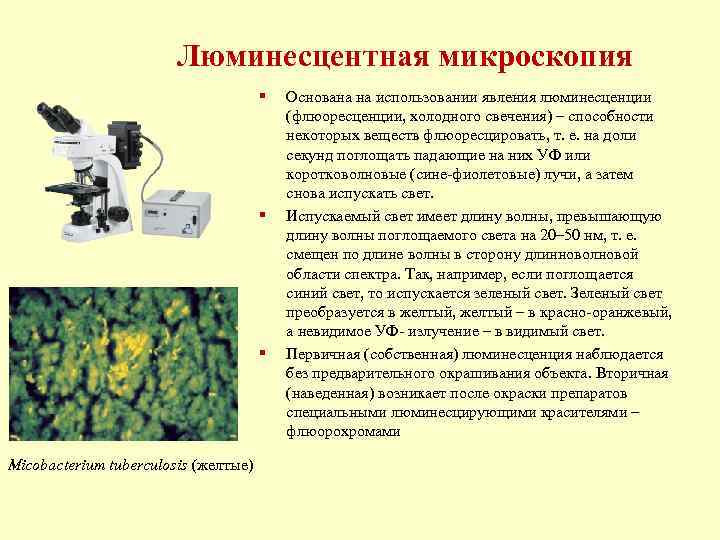  Люминесцентная микроскопия § Основана на использовании явления люминесценции (флюоресценции, холодного свечения) – способности