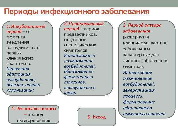 Периоды инфекции