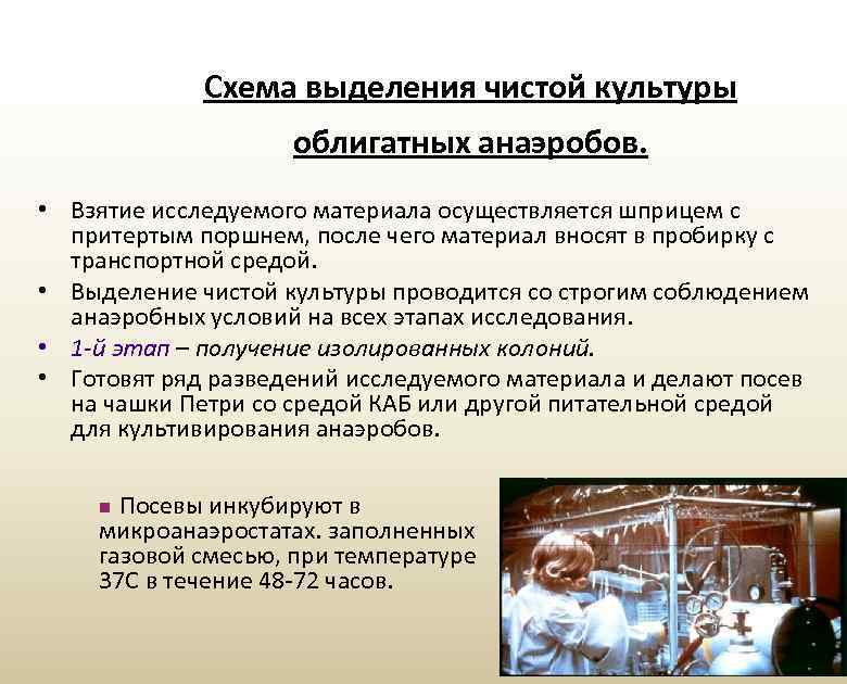 Схема выделения чистой культуры облигатных анаэробов. • Взятие исследуемого материала осуществляется шприцем с притертым