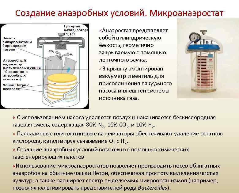 Создание анаэробных условий. Микроанаэростат Анаэростат представляет собой цилиндрическую ёмкость, герметично закрываемую с помощью ленточного