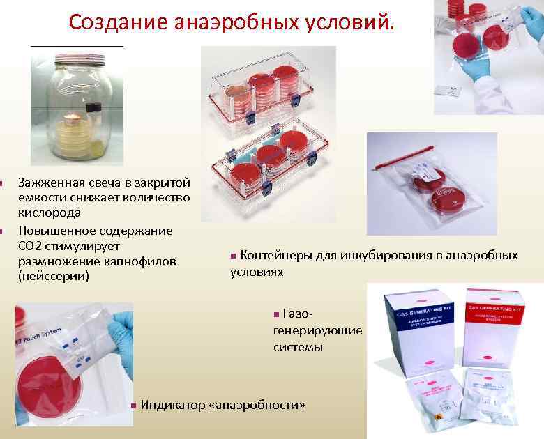 n n Создание анаэробных условий. Зажженная свеча в закрытой емкости снижает количество кислорода Повышенное
