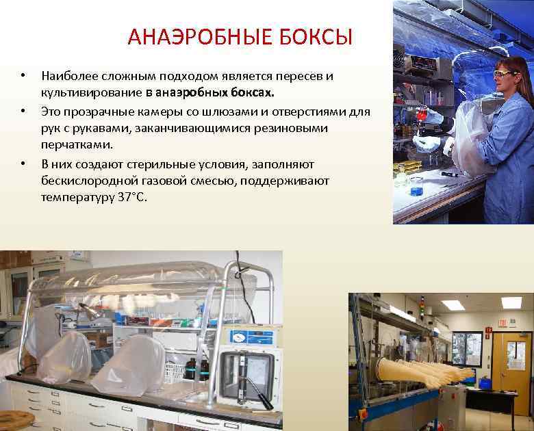 АНАЭРОБНЫЕ БОКСЫ • • • Наиболее сложным подходом является пересев и культивирование в анаэробных