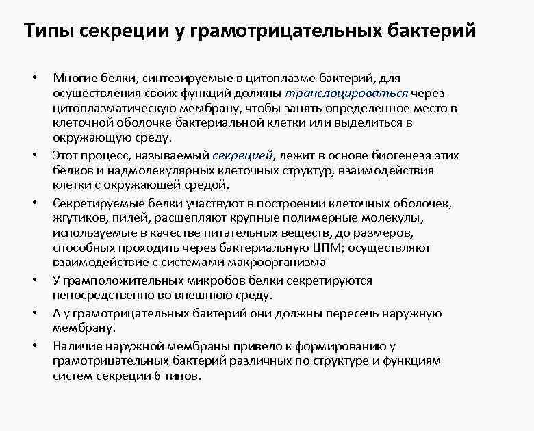 Типы секреции у грамотрицательных бактерий • • • Многие белки, синтезируемые в цитоплазме бактерий,