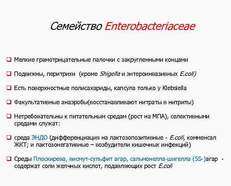Семейство Enterobacteriaceae q Мелкие грамотрицательные палочки с закругленными концами q Подвижны, перитрихи (кроме Shigella