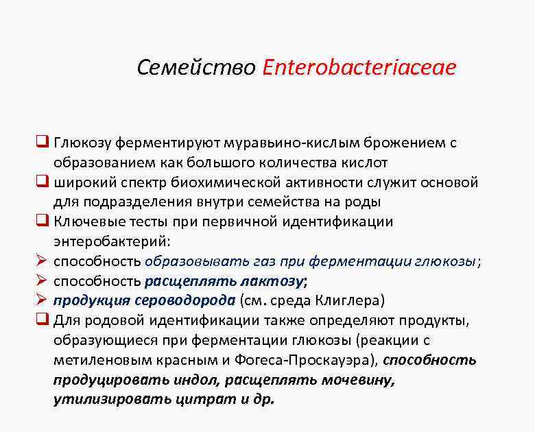 Семейство Enterobacteriaceae q Глюкозу ферментируют муравьино-кислым брожением с образованием как большого количества кислот q