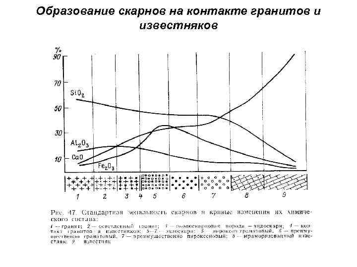 Образование скарнов на контакте гранитов и известняков 