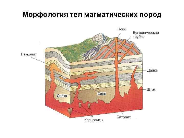Морфология тел магматических пород 