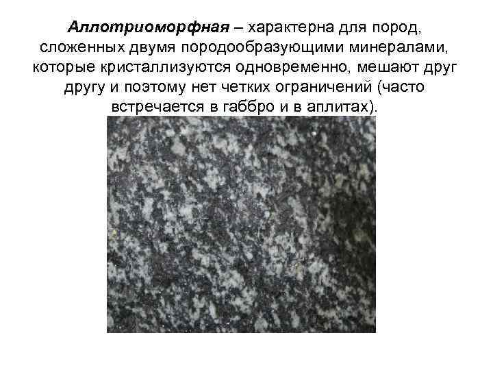 Аллотриоморфная – характерна для пород, сложенных двумя породообразующими минералами, которые кристаллизуются одновременно, мешают другу