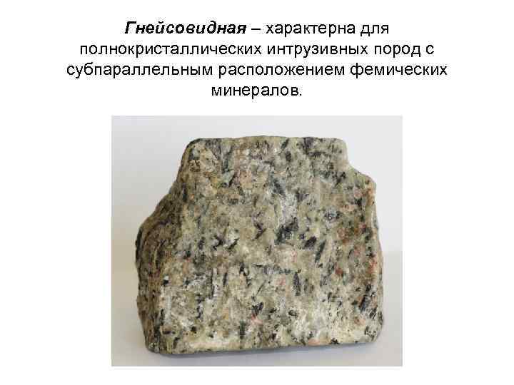 Гнейсовидная – характерна для полнокристаллических интрузивных пород с субпараллельным расположением фемических минералов. 