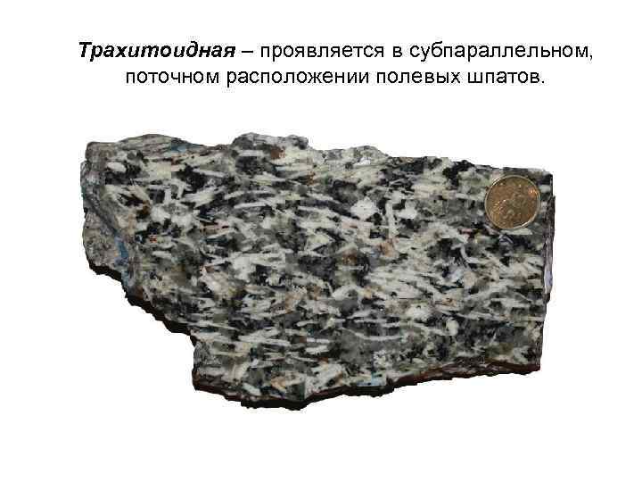 Трахитоидная – проявляется в субпараллельном, поточном расположении полевых шпатов. 