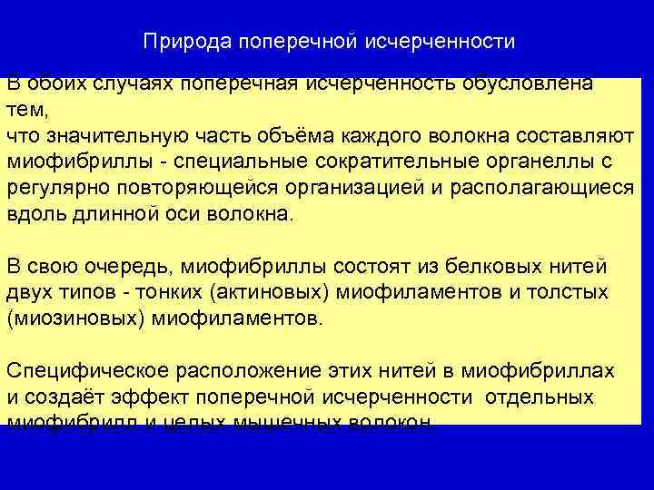 Природа поперечной исчерченности В обоих случаях поперечная исчерченность обусловлена тем, что значительную часть объёма