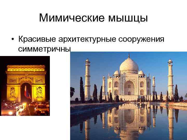 Мимические мышцы • Красивые архитектурные сооружения симметричны 