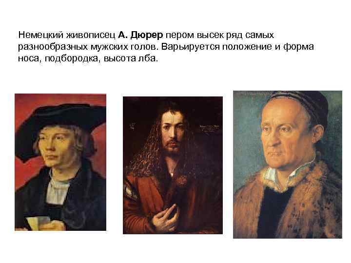 Немецкий живописец А. Дюрер пером высек ряд самых разнообразных мужских голов. Варьируется положение и