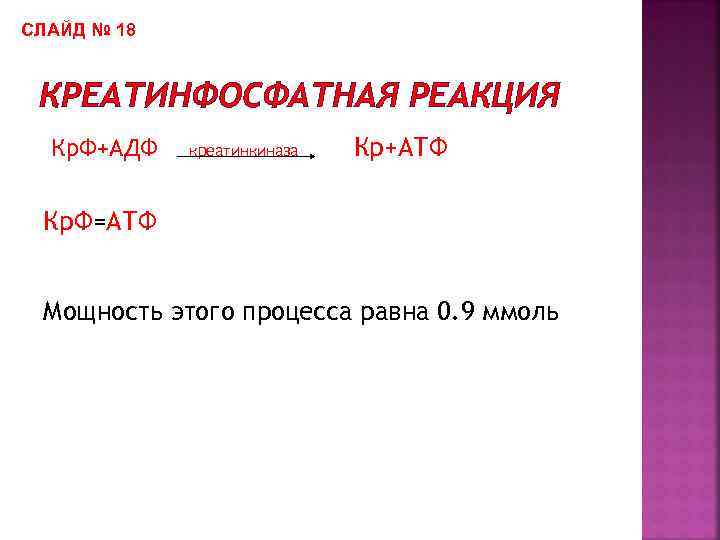 СЛАЙД № 18 КРЕАТИНФОСФАТНАЯ РЕАКЦИЯ Кр. Ф+АДФ креатинкиназа Кр+АТФ Кр. Ф=АТФ Мощность этого процесса