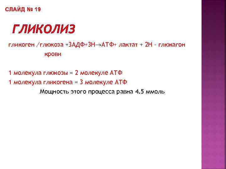СЛАЙД № 19 ГЛИКОЛИЗ гликоген ∕глюкоза +3 АДФ+3 Н→АТФ+ лактат + 2 Н –