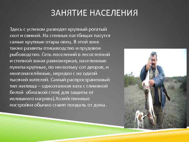 ЗАНЯТИЕ НАСЕЛЕНИЯ Здесь с успехом разводят крупный рогатый скот и свиней. На степных пастбищах