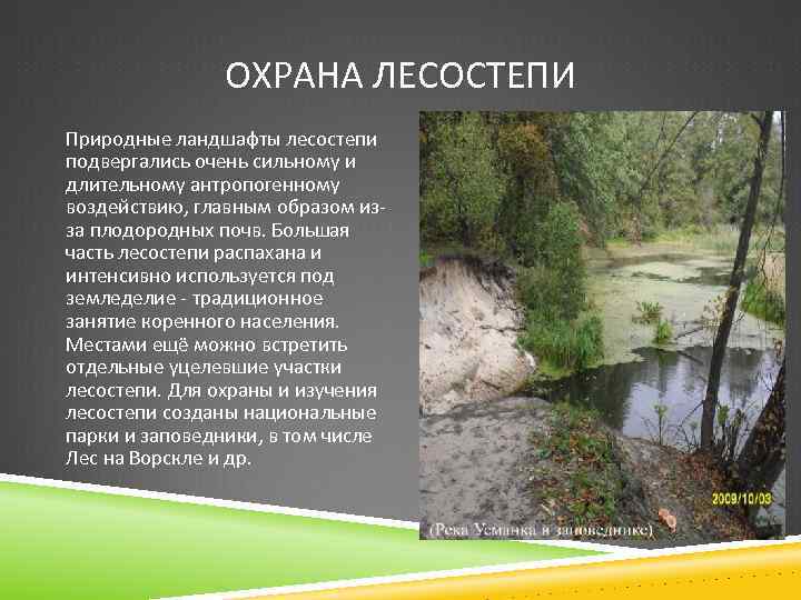 ОХРАНА ЛЕСОСТЕПИ Природные ландшафты лесостепи подвергались очень сильному и длительному антропогенному воздействию, главным образом
