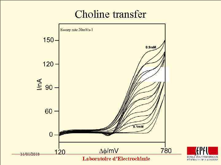 Choline transfer Click to edit Master title style • • • Click to edit