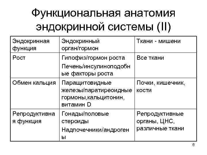 Функциональная анатомия эндокринной системы (II) Эндокринная функция Эндокринный орган/гормон Ткани - мишени Рост Гипофиз/гормон