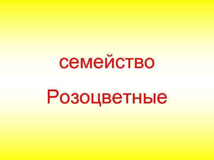 семейство Розоцветные 