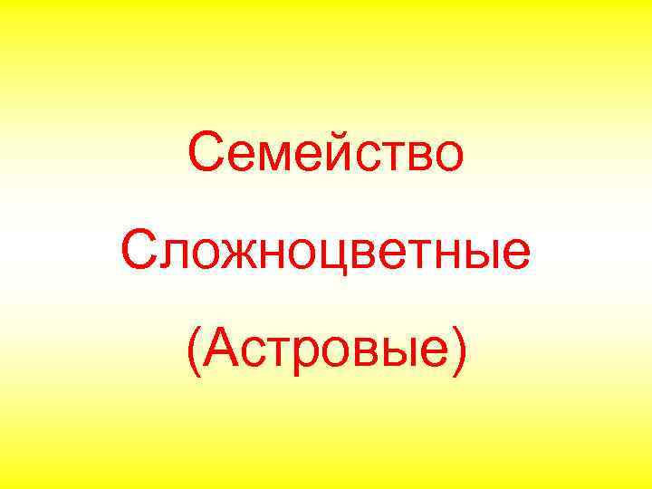 Семейство Сложноцветные (Астровые) 