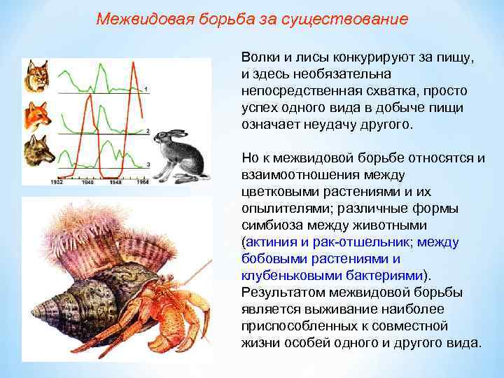 Межвидовая борьба