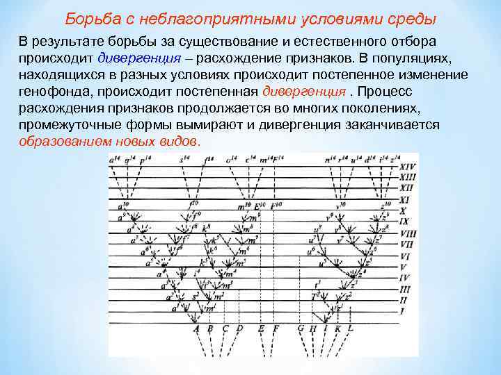 Чем выражается борьба организмов с неблагоприятными условиями. Результат борьбы с неблагоприятными условиями среды. Борьба за существование с неблагоприятными условиями.