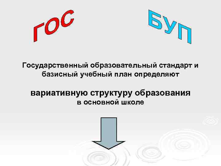 Государственный образовательный стандарт и базисный учебный план определяют вариативную структуру образования в основной школе