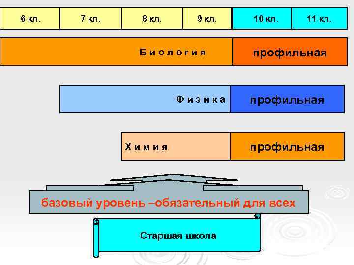 6 кл. 7 кл. 8 кл. 9 кл. Биология Физика Химия 10 кл. профильная