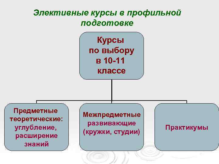 Элективные курсы в профильной подготовке Курсы по выбору в 10 -11 классе Предметные теоретические: