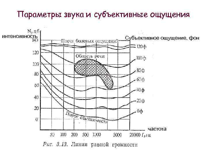 Параметры звука и субъективные ощущения интенсивность Субъективное ощущение, фон частота 