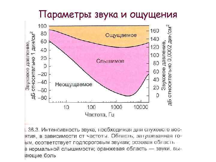 Параметры звука и ощущения 