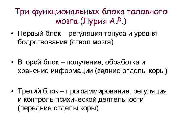 Три функциональных блока головного мозга (Лурия А. Р. ) • Первый блок – регуляция