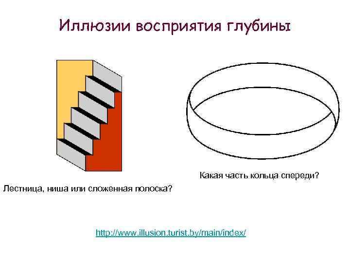Иллюзии восприятия глубины Какая часть кольца спереди? Лестница, ниша или сложенная полоска? http: //www.