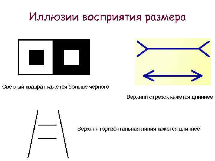 Соответствующими знаками. Иллюзия восприятия размера. Оптические иллюзии размера. Оптические иллюзии восприятия размера. Зрительные иллюзии восприятия размера.