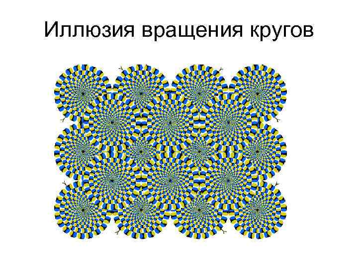 Иллюзия вращения кругов 