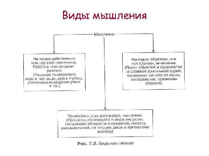 Виды мышления 