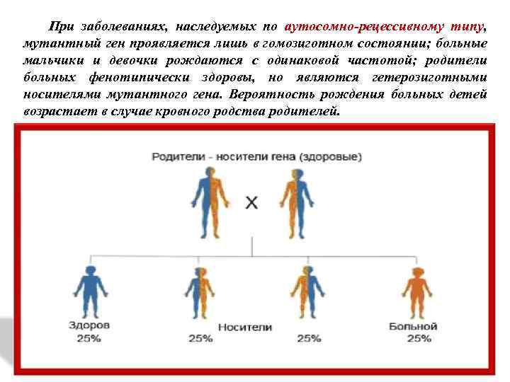 При заболеваниях, наследуемых по аутосомно-рецессивному типу, мутантный ген проявляется лишь в гомозиготном состоянии; больные