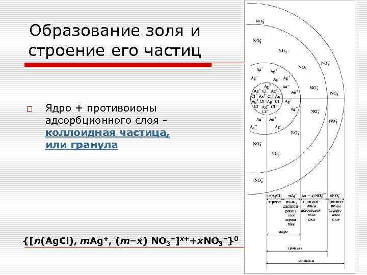  Образование золя и строение его частиц o Ядро + противоионы адсорбционного слоя -