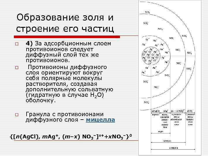  Образование золя и строение его частиц o 4) За адсорбционным слоем противоионов следует