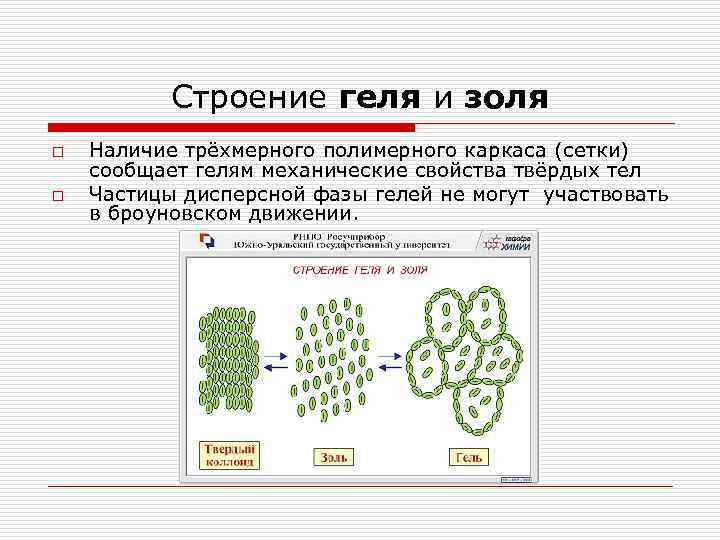  Строение геля и золя o Наличие трёхмерного полимерного каркаса (сетки) сообщает гелям механические
