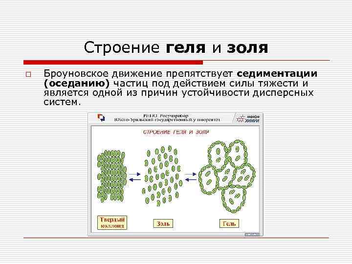 Седиментация белка. Строение геля. Золь гель. Строение геля и Золя. Гель структура.