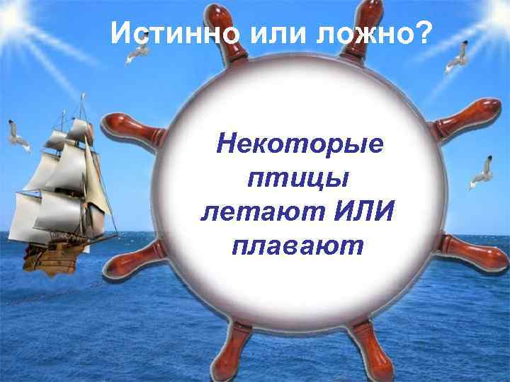Истинно или ложно? Некоторые птицы летают ИЛИ плавают 