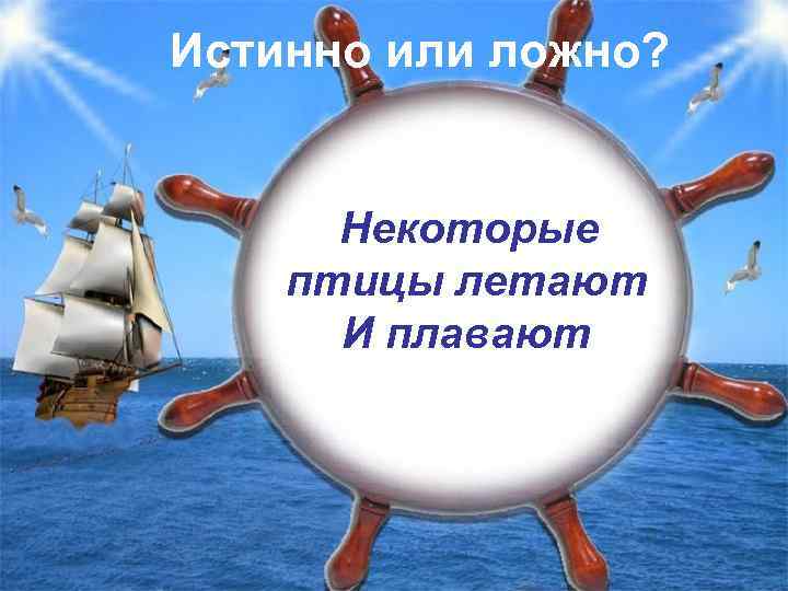 Истинно или ложно? Некоторые птицы летают И плавают 